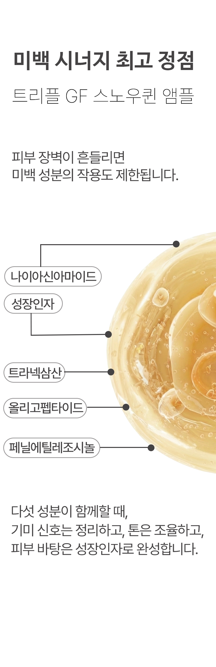 제목없음 스앰 상세 이미지
