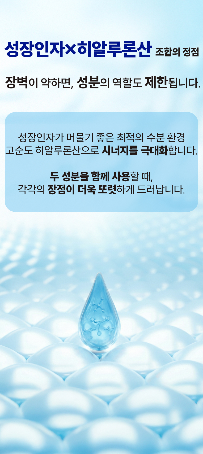 제목없음 모앰 상세 이미지