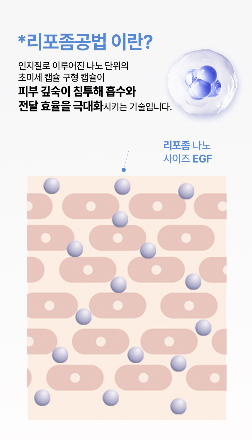 4제목없음 모크 상세 이미지