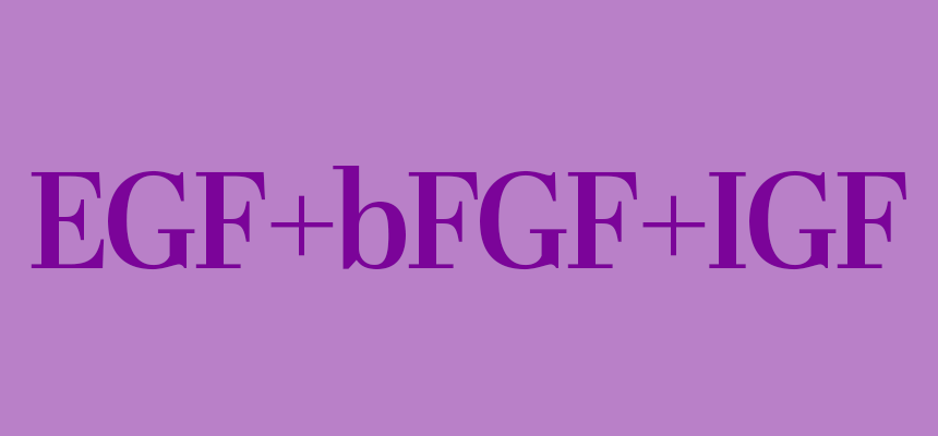 5제목없음 포크 상세 이미지