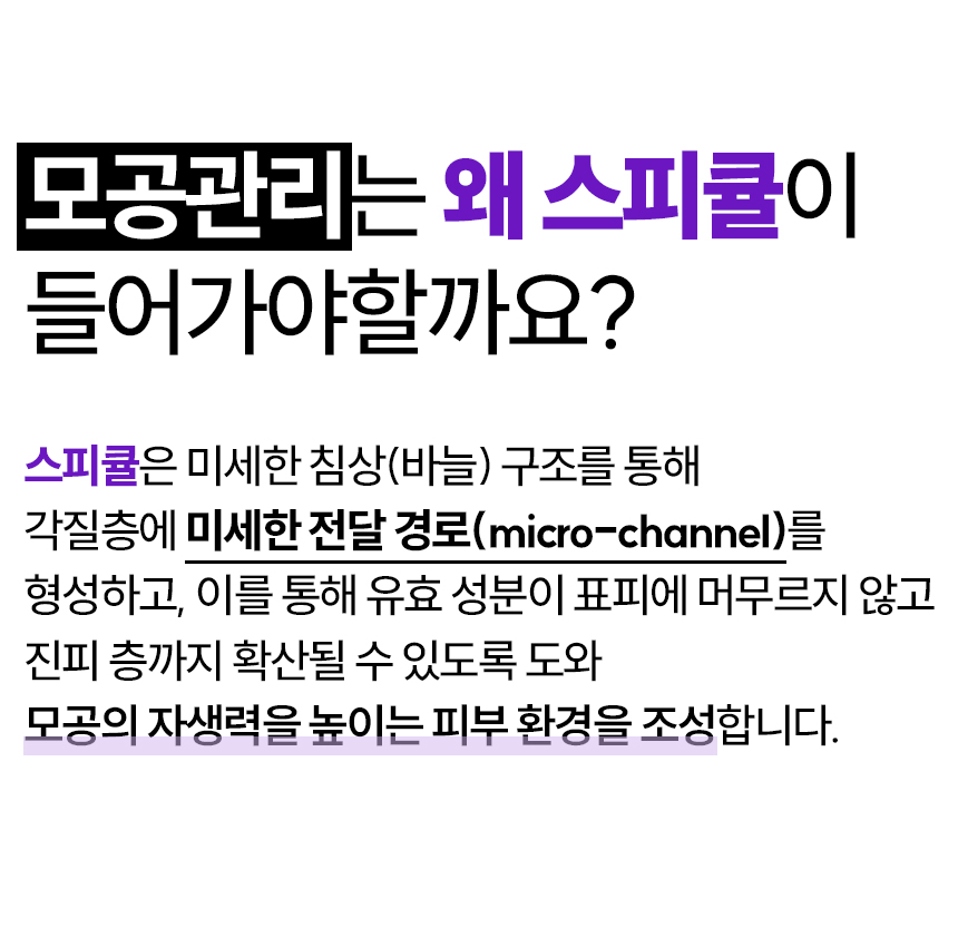 5제목없음 포크 상세 이미지