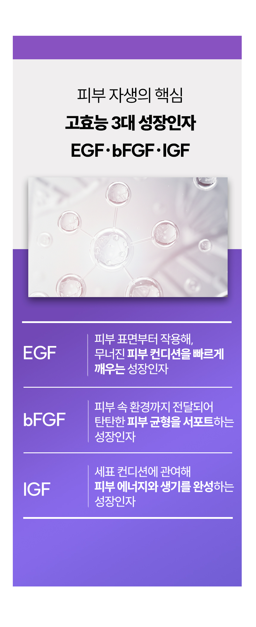 5제목없음 포크 상세 이미지