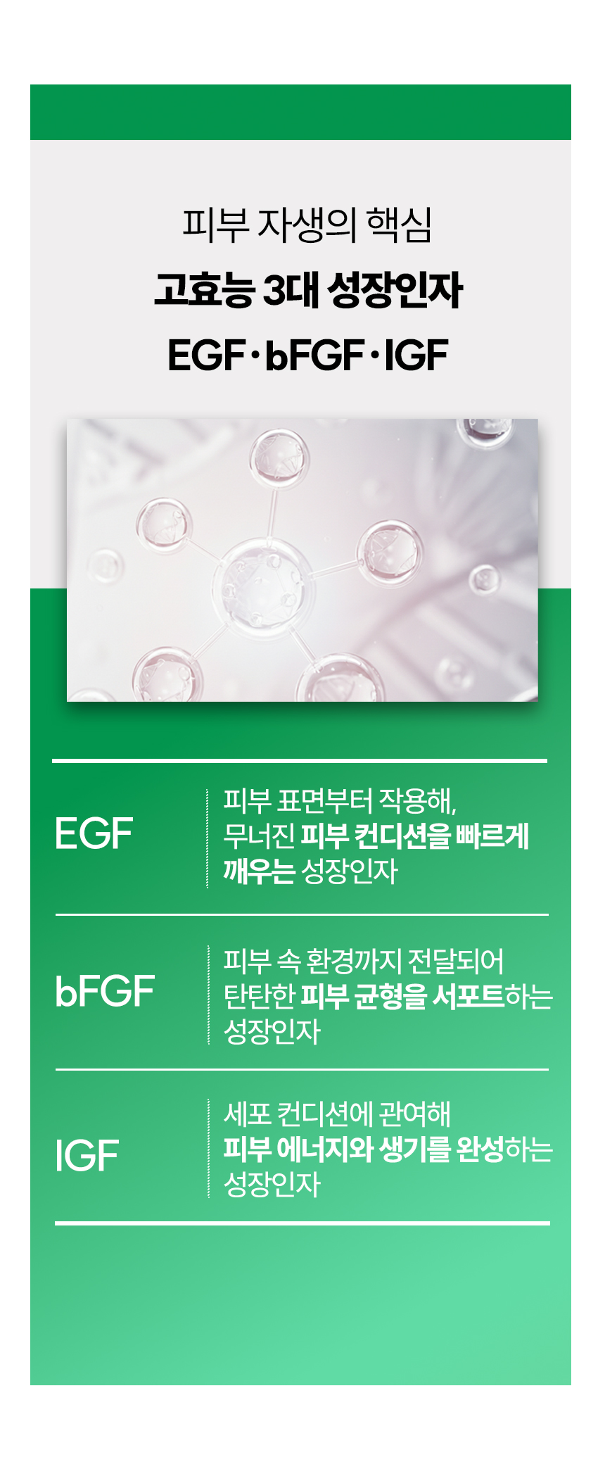 제목없음 카앰 상세 이미지