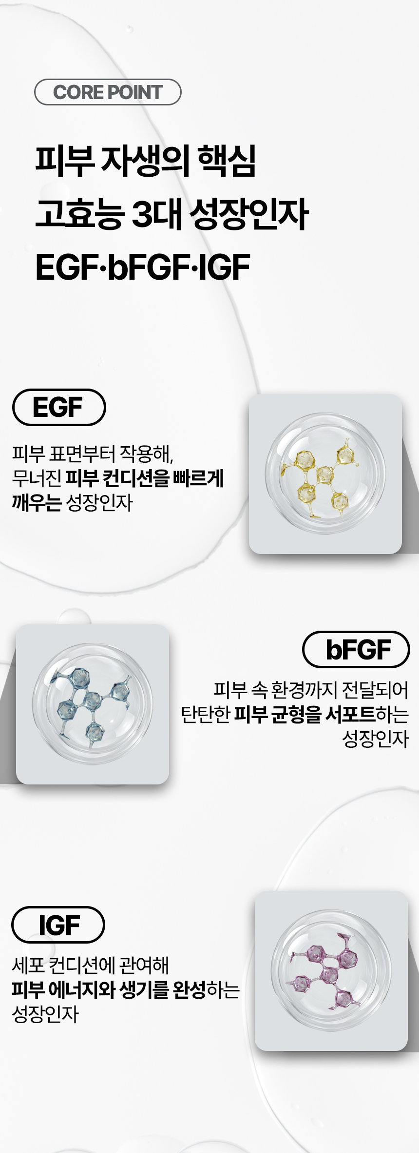 2제목없음 카크 상세 이미지